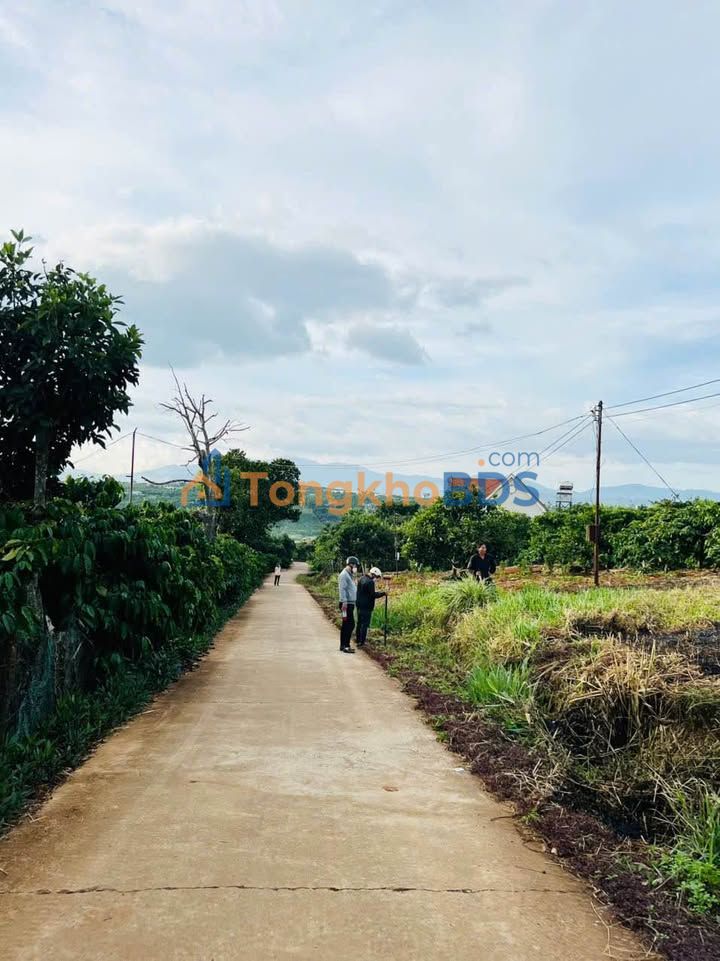 Đất Nền 1014m² Đức Trọng, Lâm Đồng - Giá Lỗ 1.85 Tỷ, Sổ Đỏ Chính Chủ