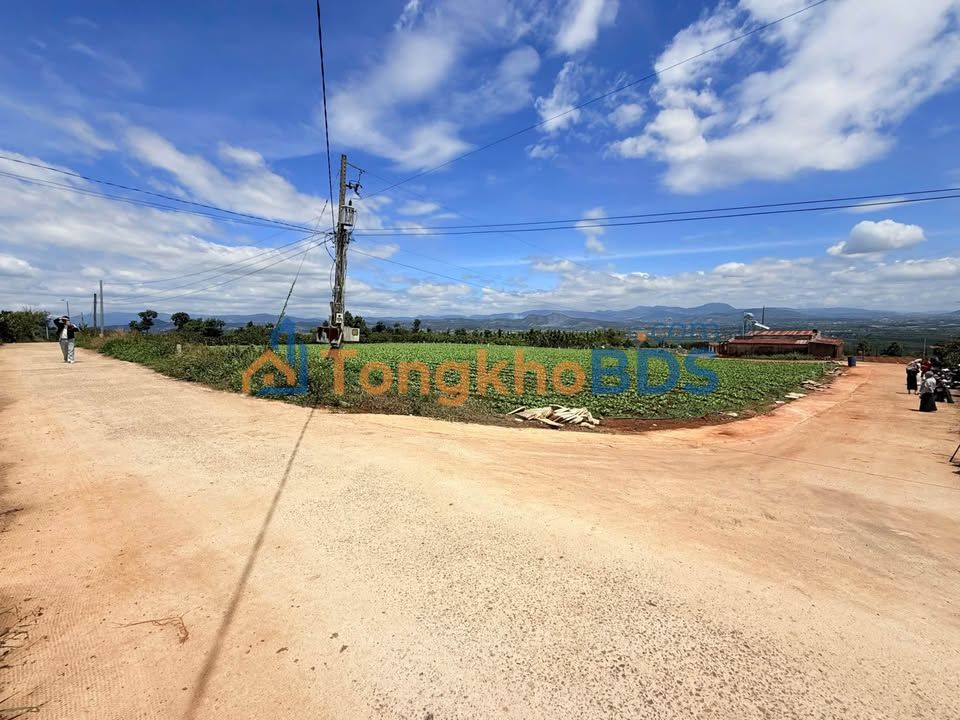 Đất Nền Lâm Hà 274m² - Săn Mây, View Đẹp, Giá Chỉ 460 Triệu