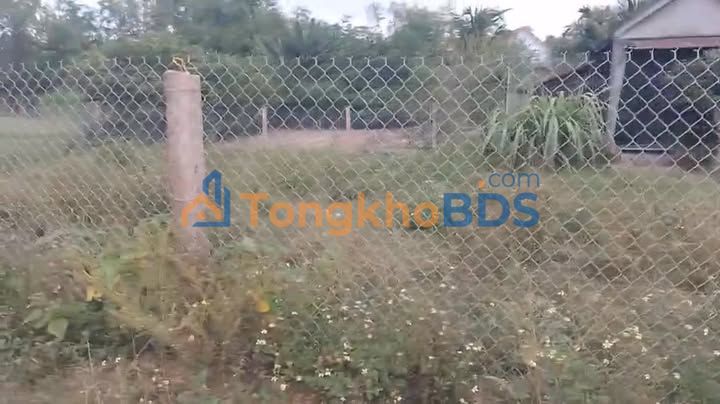 Bán Đất Ninh Hòa 594m² - Sổ Hồng Sẵn Sàng - Giá 1.25 Tỷ