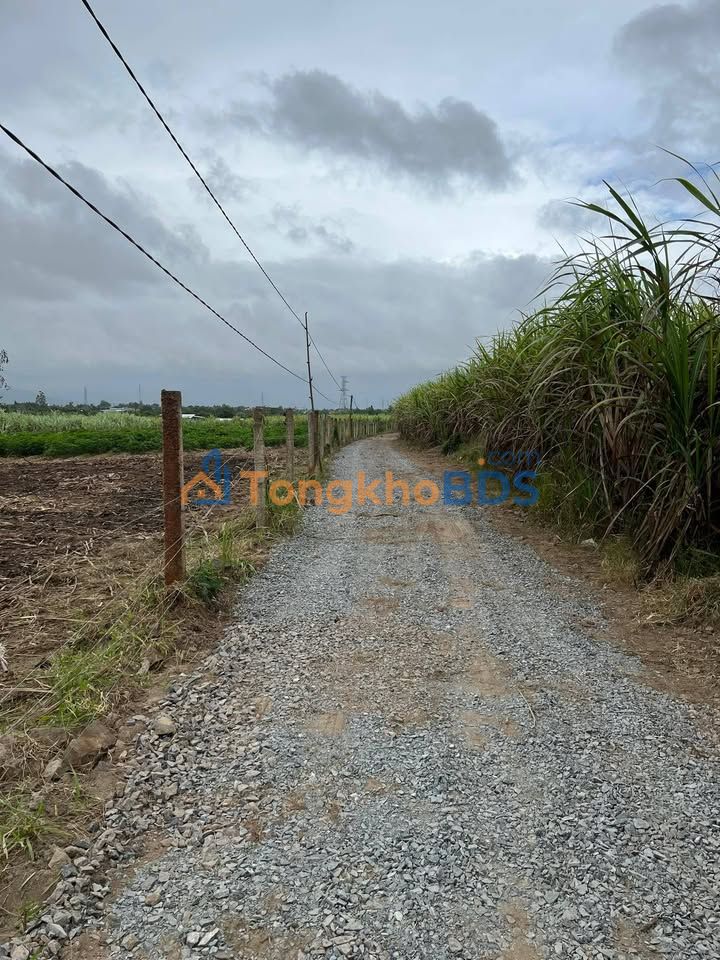 Đất nền 885m² Tân Mỹ, Khánh Hòa - Sổ đỏ, Bao thuế phí, Giá tốt