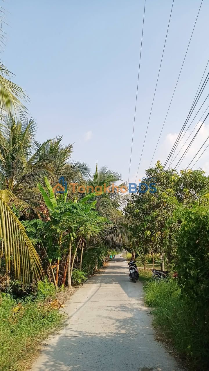 Đất Vườn 1000m² Mặt Tiền Dân Hợp Tác Xã, Châu Đốc - Giá Tốt