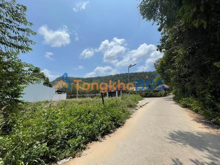 Bán Đất Suối Đá Phú Quốc 120m² Full Thổ Cư - Ô Tô Tới Đất