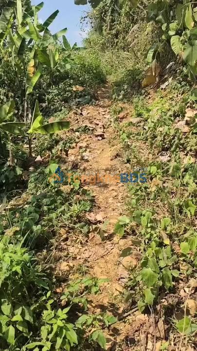 Bán Gấp Đất Vườn 21.600m² Lộc Bắc, Bảo Lâm - Chỉ 300 Triệu