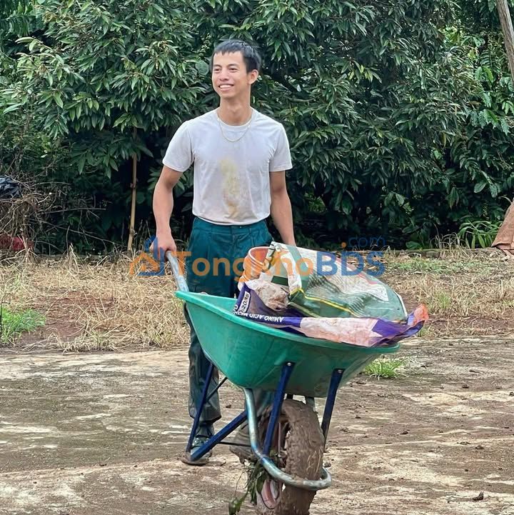 Đất Mặt Tiền Liên Xã Ia Hlốp 350m² - Kinh Doanh Sầm Uất, Giá 13.65 Tỷ