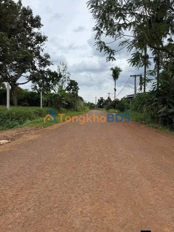 Đất Nền Buôn Hồ 180m² - Mặt Tiền 12m, Giá 740 Triệu