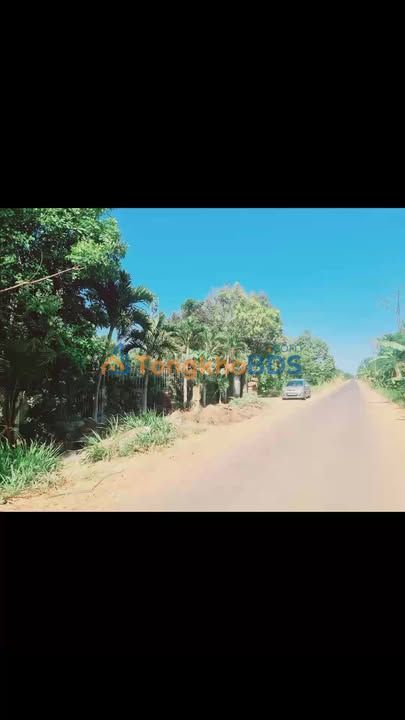 Nhà Vườn Đắk Lắk - 750m² Quảng Phú, Giá 2.8 Tỷ, Hướng Nam Mát Mẻ