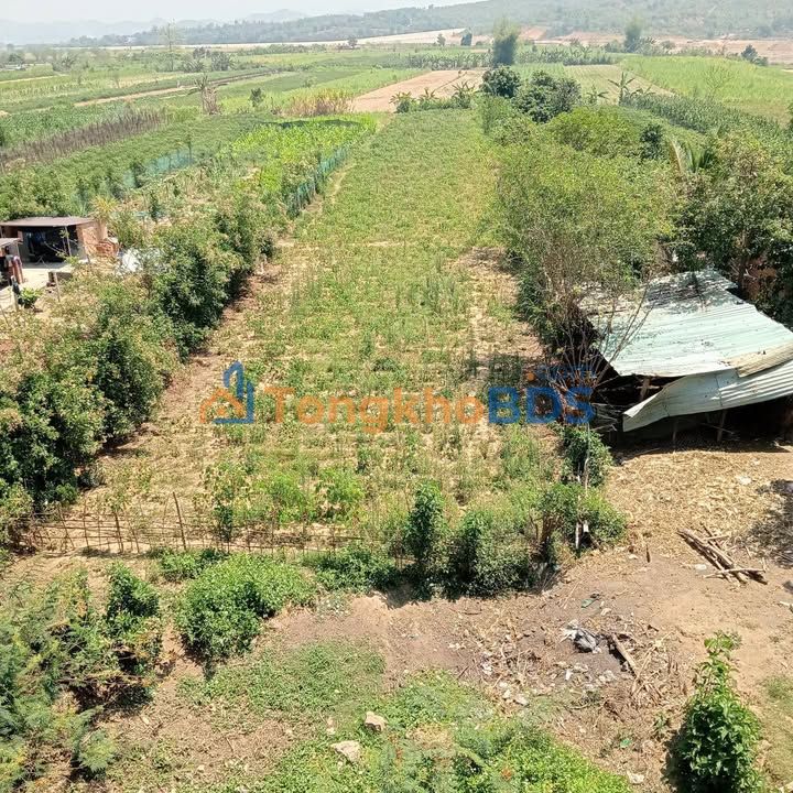 Bán Đất Nền 1900m² Phường Thống Nhất, Kon Tum - Sổ Đỏ Sẵn Sàng