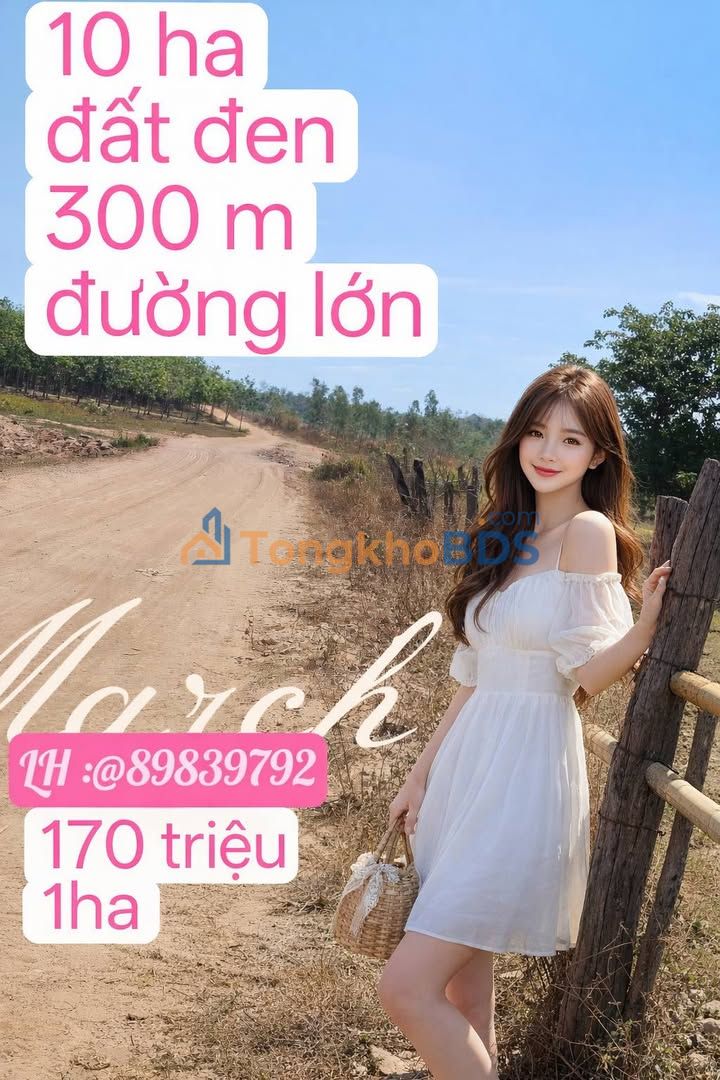 Bán Đất Farm Gia Lai 10ha - Giá Tốt 1.7 Tỷ - Sẵn Sàng Sản Xuất Lớn