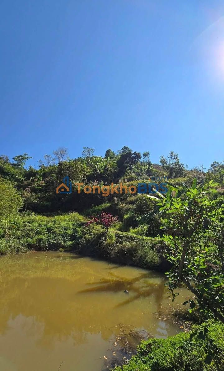 Bán Gần 10ha Farm Chư Hreng - Sầu Riêng, Cà Phê, Cao Su - Tiềm Năng Nghỉ Dưỡng