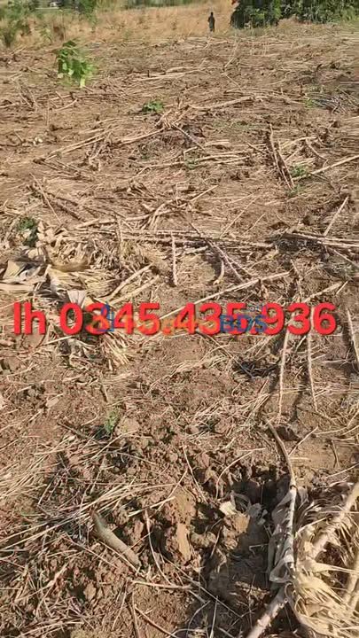 Đất nền 6.5ha Ia Lâu, Chư Prông - Sổ đỏ, ôm suối lớn, ô tô tới nơi - 1.3 tỷ