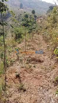 Bán Đất Ngok Réo, Đắk Hà 750m² - Giá 320 Triệu, Đường Thuận Tiện