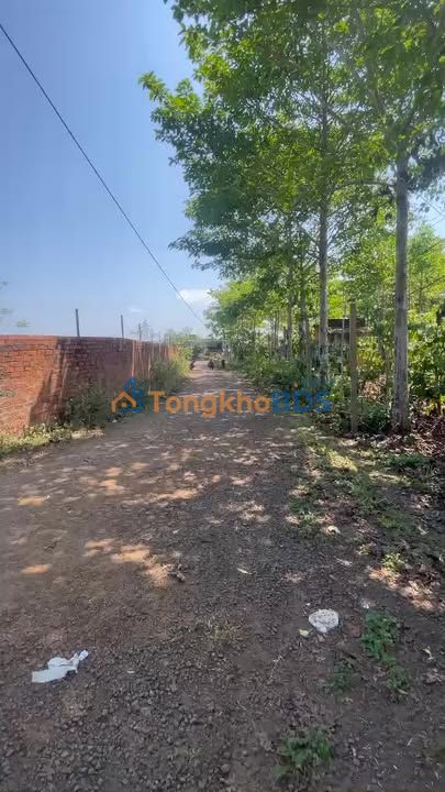 Đất Góc 2 Mặt Tiền Đường A Sanh, Chư Sê - 1000m² Đầu Tư Sinh Lời