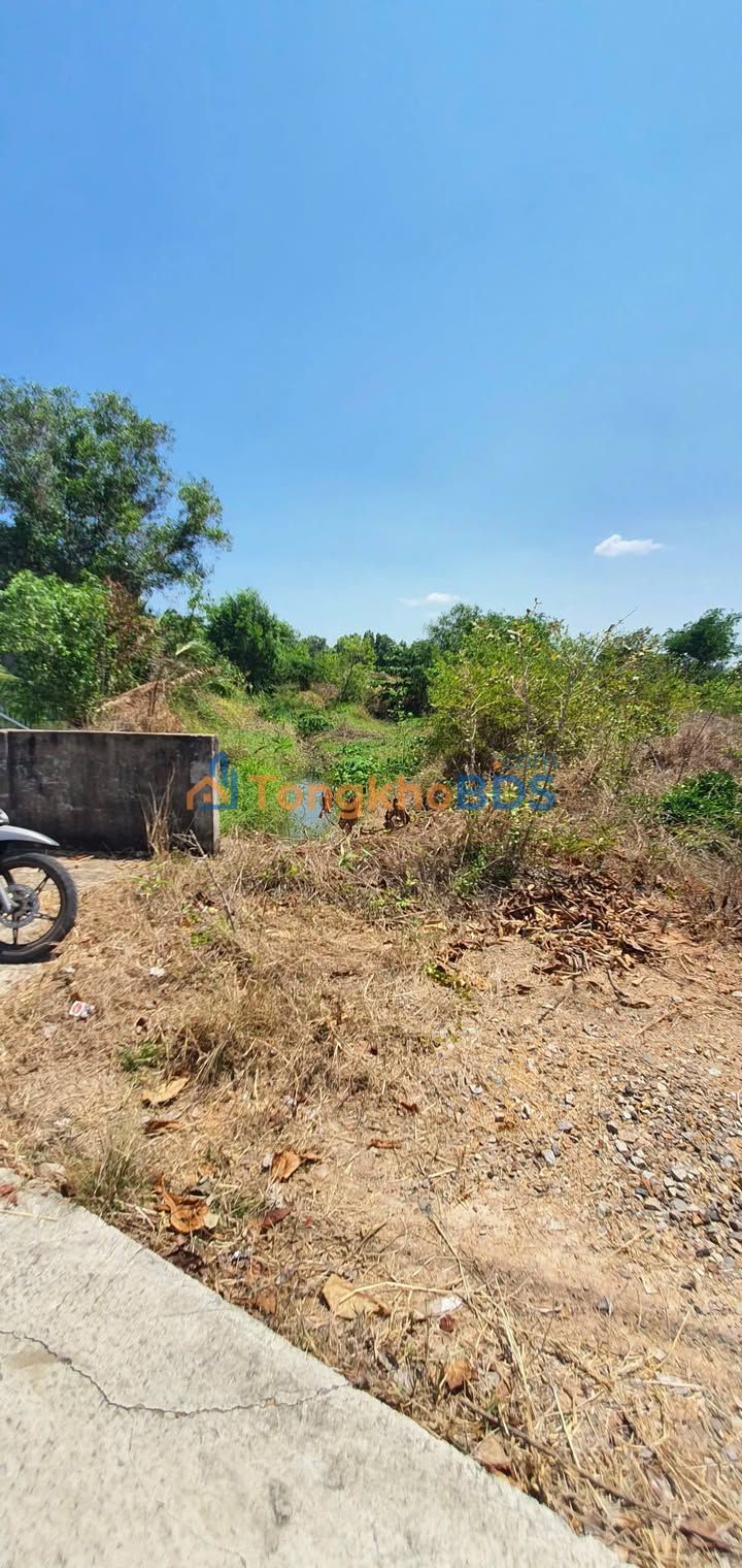 Bán Gấp 3 Sào Đất Vườn Hàm Liêm, Bình Thuận - Giá F0 1.05 Tỷ