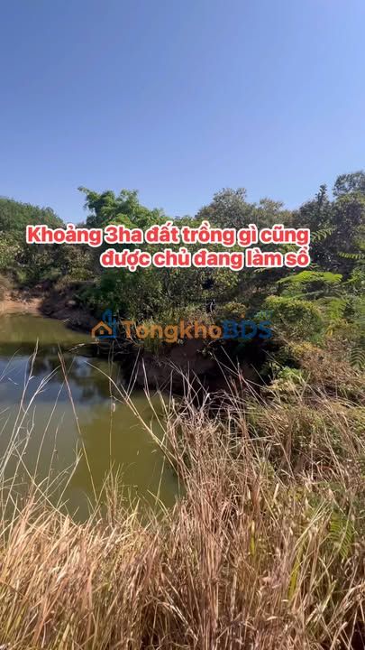 Bán Gấp Đất Farm 27.000m² Ia Pia, Gia Lai - Giá Đầu Tư Chỉ 2.4 Tỷ