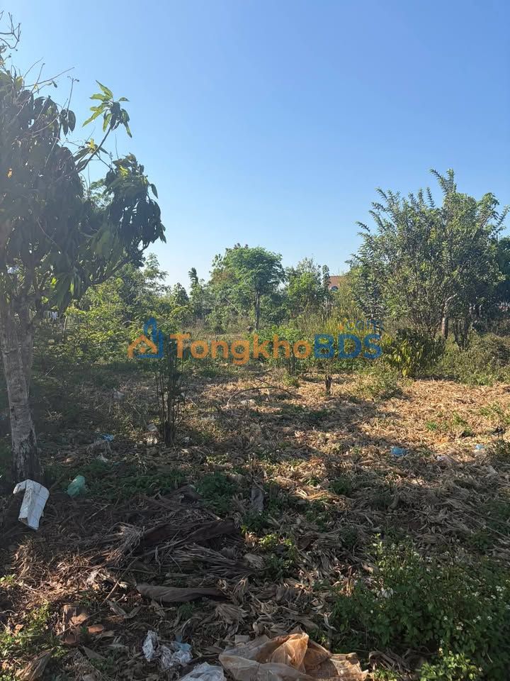 Đất Eadrông 400m² 2 Mặt Tiền - Sổ Hồng Sẵn Sàng