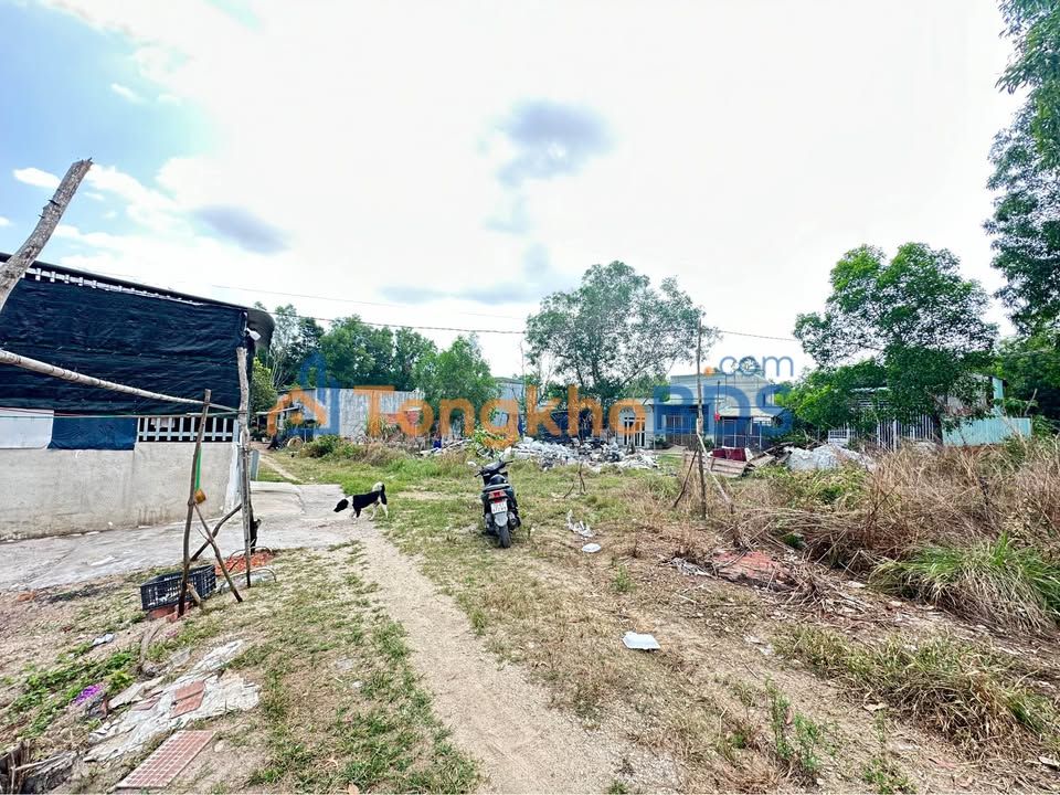 Đất Nền 100m² Phường Mỹ Xuân, Phú Mỹ - Sổ Đỏ Sẵn Sàng, Giá Tốt