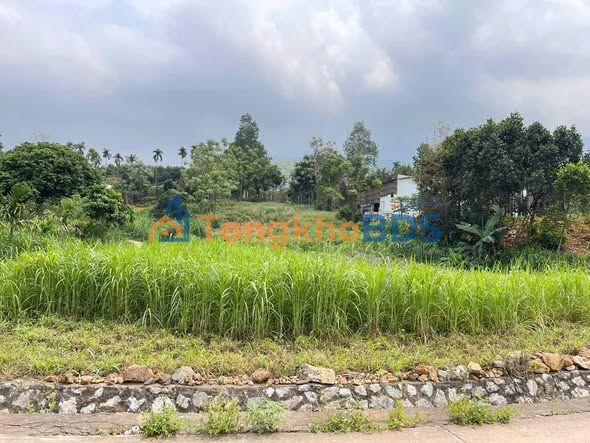 Bán Đất Vườn Ba Vì 898m² Sổ Đỏ Chính Chủ - Đầu Tư Sinh Lời