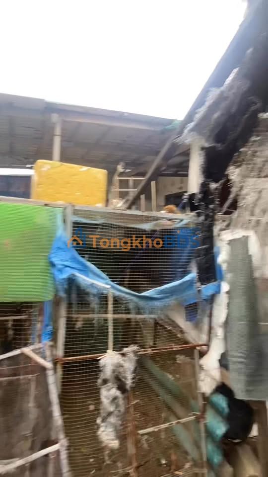 Đất Nền Lagi - MT Nhựa 80m² Sổ Đỏ - Cách Biển 600m - 1.2 Tỷ