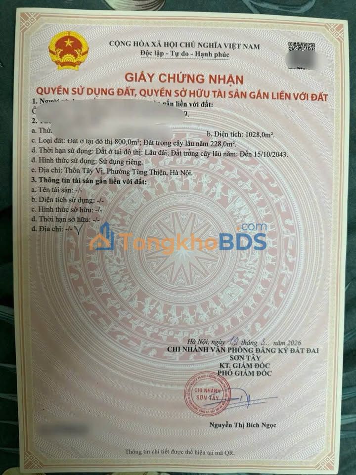 Đất Nền Sơn Tây 100m² - Sổ Hồng Sẵn, Giá F0 Cực Tốt