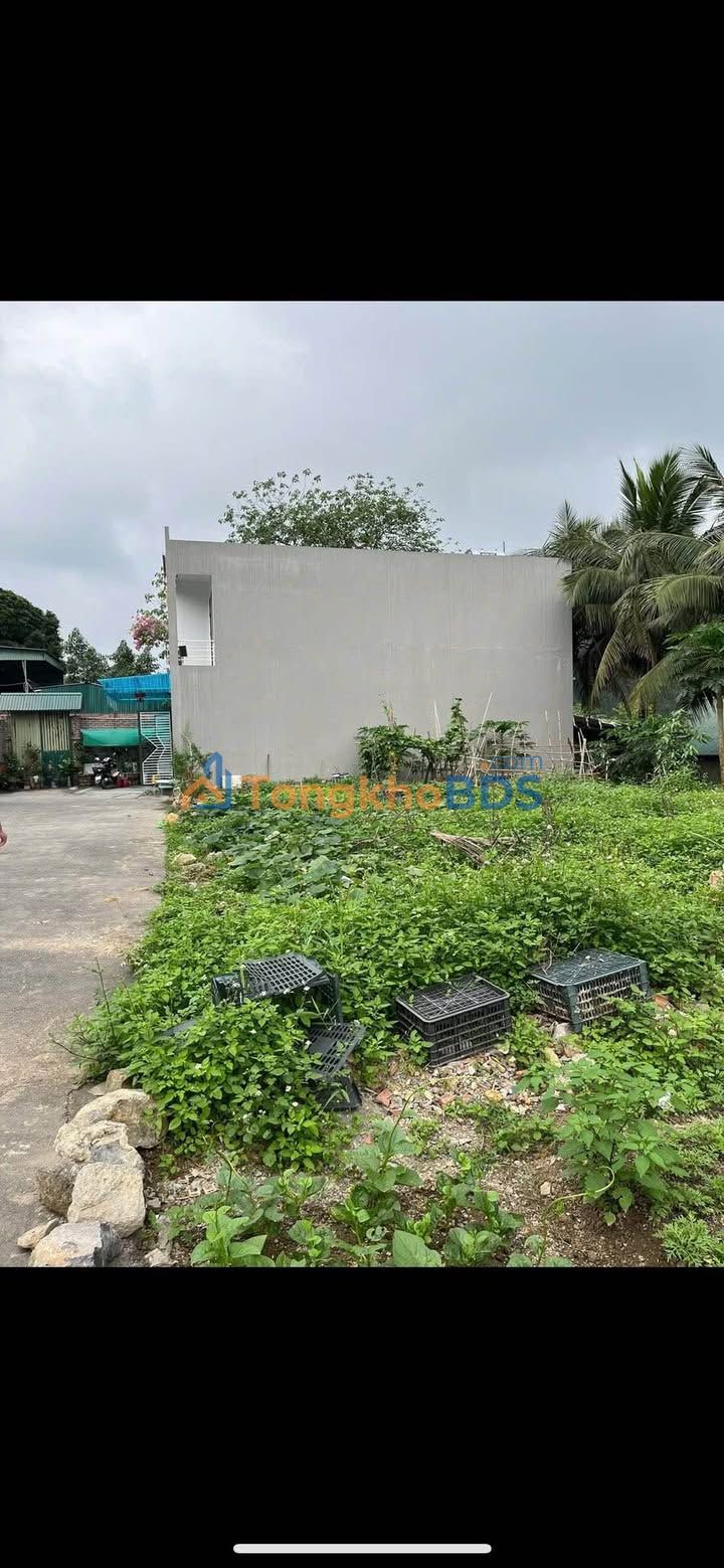 Bán Gấp Đất Nền Quảng Yên 69m² - Ngõ Ô Tô, Gần Chợ, Giá Cắt Lỗ 920 Triệu