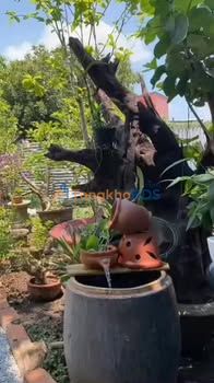 Đất Vàng Ngọc Lâm Long Biên 605m² - Ngộp Bank 3.9 Tỷ, Sổ Đỏ Riêng