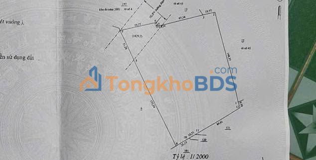 Bán Gấp Rẫy Cao Su 3.6ha Mặt Tiền Lớn, Đồng Phú - Sẵn Sàng Xây Kho Xưởng