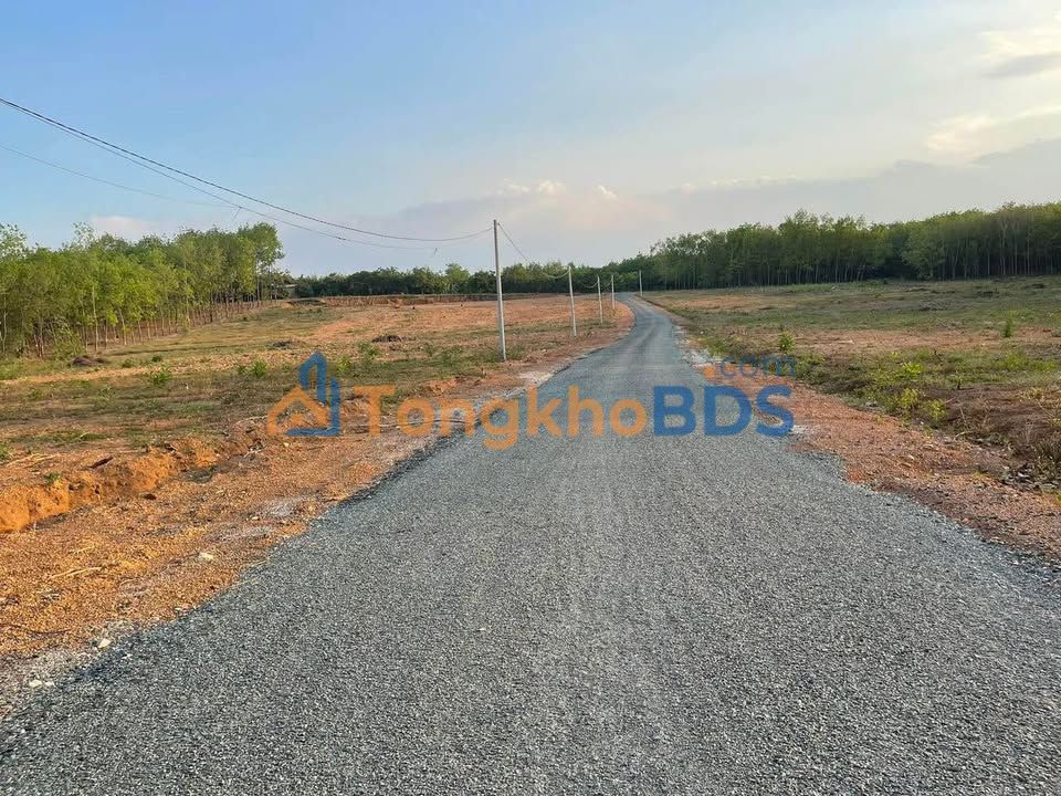 Đất Nền Đồng Phú 250m² Giá 260 Triệu - Sổ Hồng Sẵn Sàng