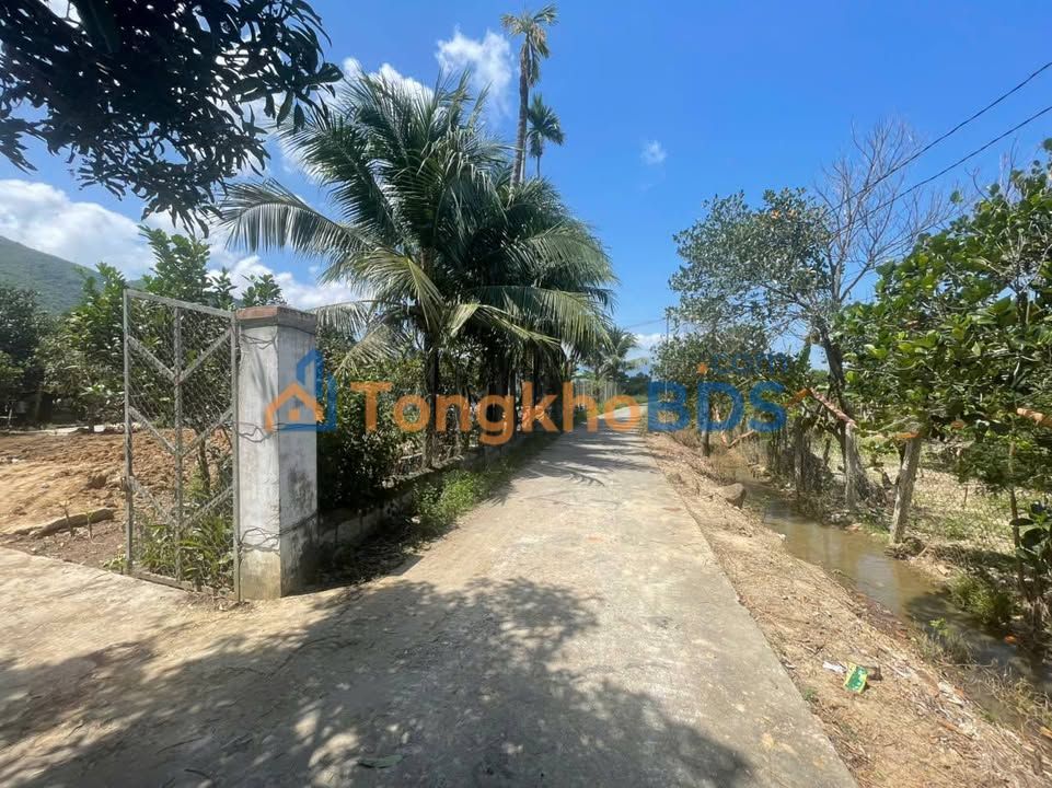 Đất Diên An, Diên Khánh 125m² - Sổ Hồng Sẵn Sàng, Giá Đầu Tư 1.68 Tỷ