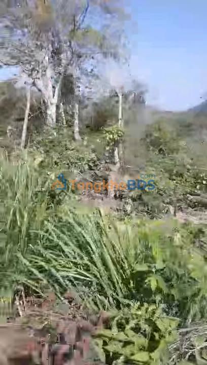 Bán Gấp Đất Vườn 1800m² Kông Chro, Gia Lai - 6 Tỷ - View Sông