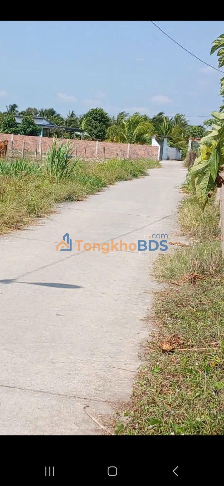 Đất Nền Tầm Vu Tây Ninh 115m² Sổ Đỏ - Giá Tốt 350 Triệu