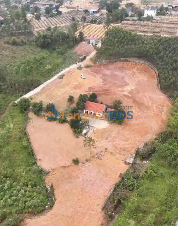 Đất Vàng Yên Dũng 5000m² - Sẵn 400m² Thổ Cư, Giá 3 Tỷ