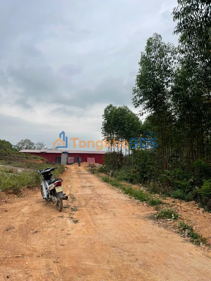 Bán Đất Nền Cẩm Lý, Lục Nam 162m² - Giá Tốt Đầu Tư