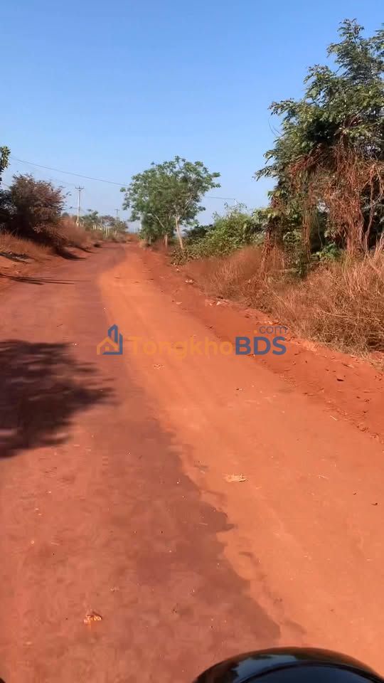 Bán Đất Trồng Cà Phê 12000m² Xã Glar, Đăk Đoa - Gần Cao Tốc, Mặt Tiền Đường