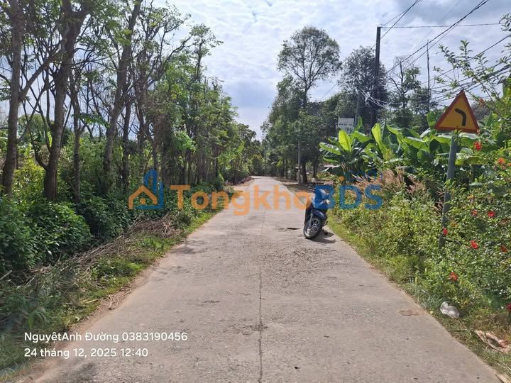 Đất Vàng Đồng Nai: 7200m² Sổ Hồng Riêng, 2 Mặt Tiền Đường, Giá 1.9 Tỷ