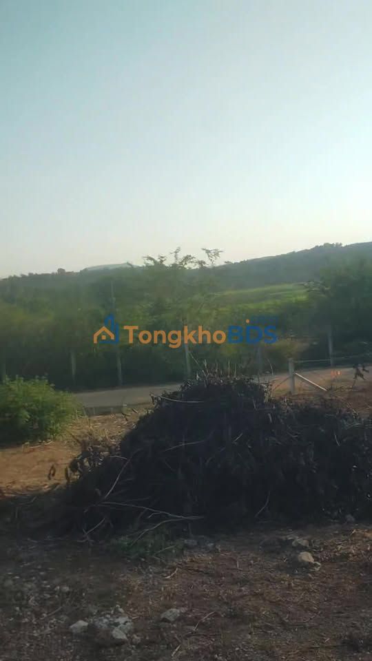 Bán đất 520m² Lý Chính Thắng, Quận 1 - Sổ hồng riêng, giá 4 tỷ