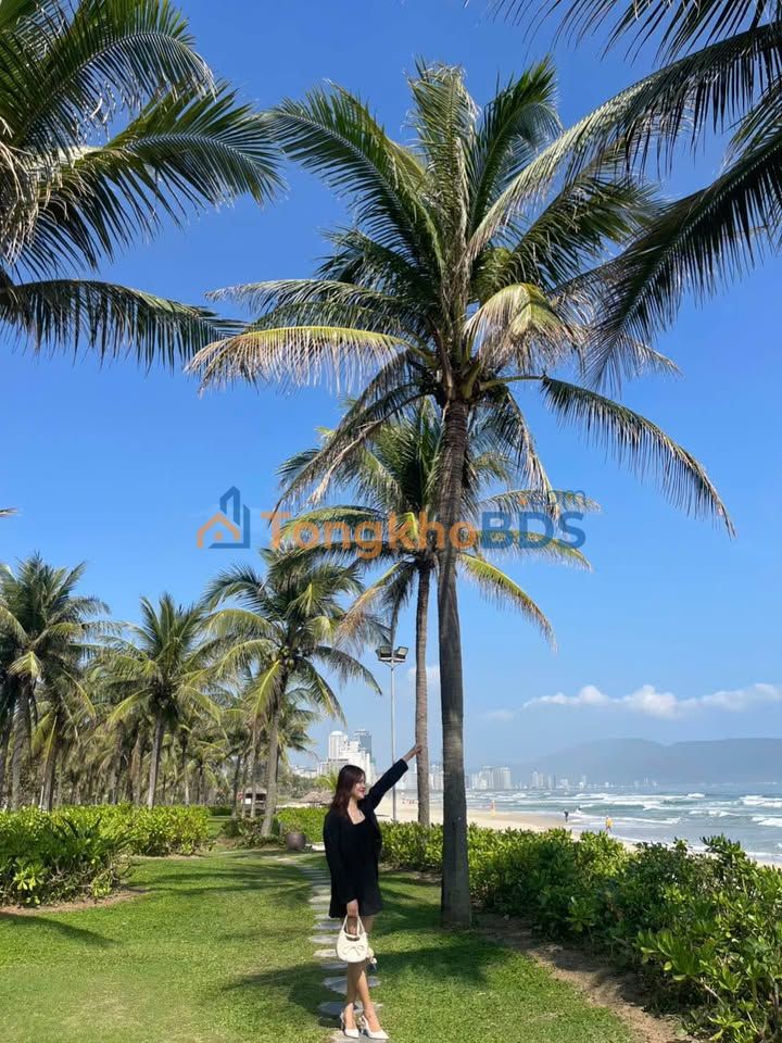 Bán Đất Biển Sơn Trà 90m² - Vị Trí Vàng, Kinh Doanh Đắc Lợi