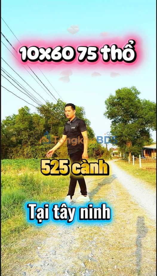 Đất Nền 75m² Thổ Cư Sổ Hồng Xã Long Thuận, Tây Ninh - Giá 520 Triệu