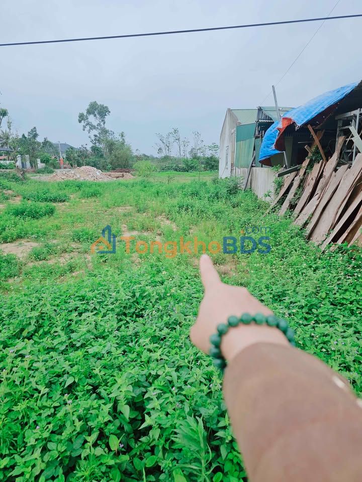 Đất nền Nghi Liên 149.8m² hướng Đông Nam - Đường Kim Chi 10m