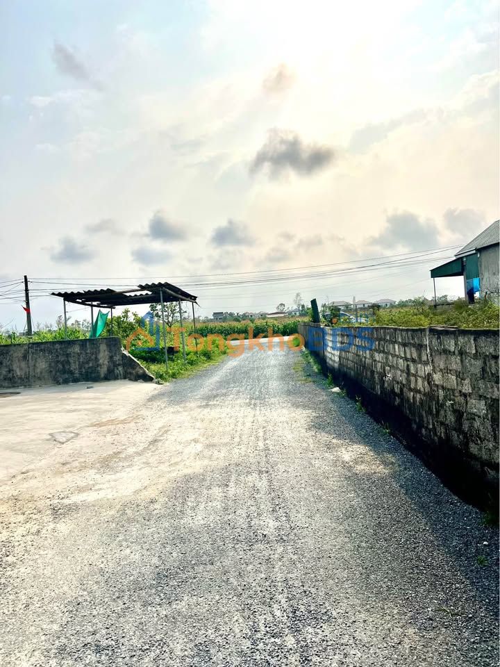 Đất Nền Nghi Phong, Vinh - 90m² Sổ Đỏ, Gần Đường 535, Giá 1.9 Tỷ