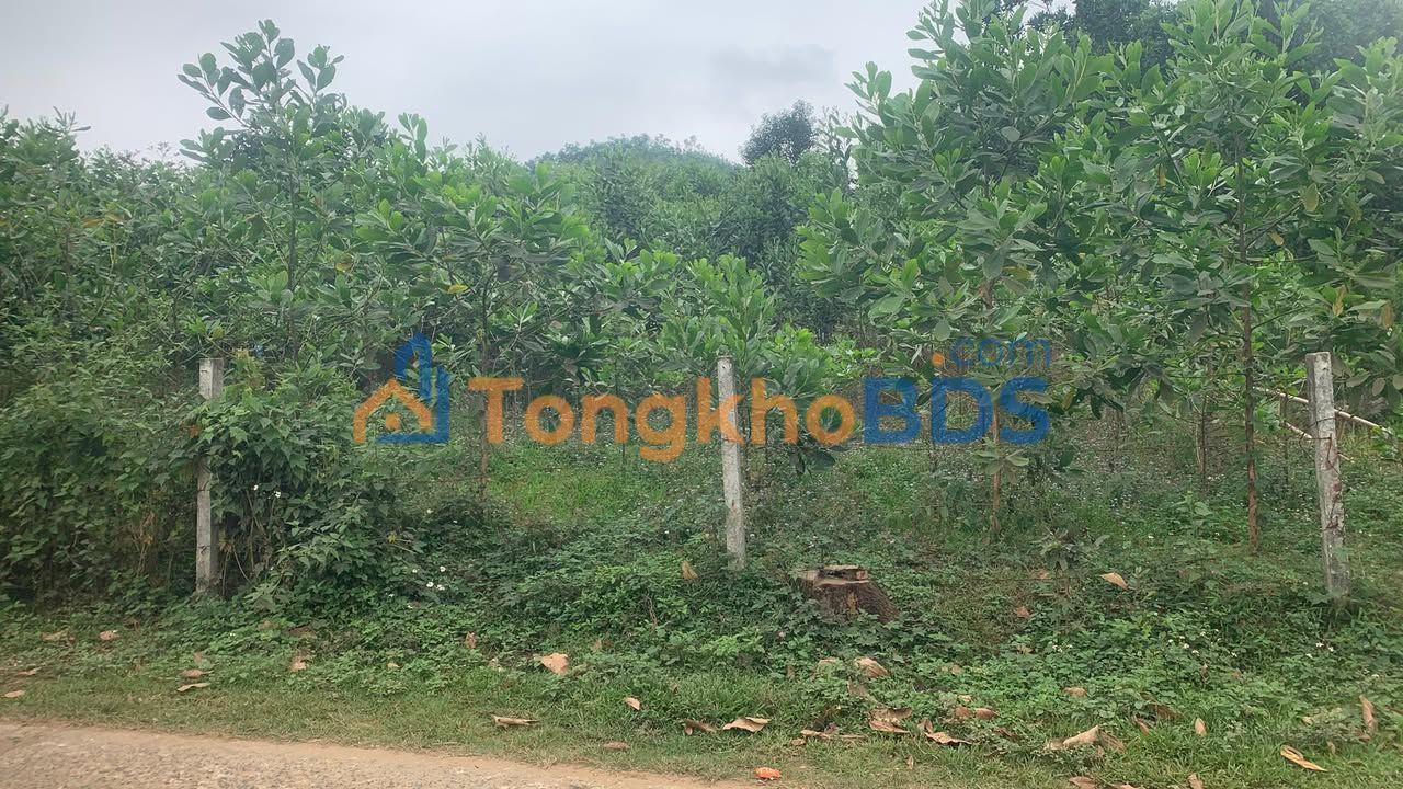 Đất nền 300m² Cao Phong, Hoà Bình - Sổ đỏ, View đồi núi