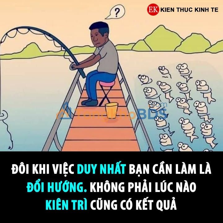 Đất Vàng An Phú - Thủ Đức 666m² Sổ Đỏ, Giá 15 Tỷ - Tách Lô/Biệt Thự