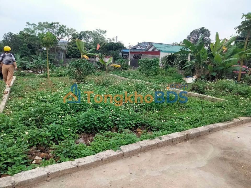 Đất Nền Phú Xá Thái Nguyên 100m² - Vuông Vắn, Đường Ô Tô, Sẵn Sàng Xây Dựng