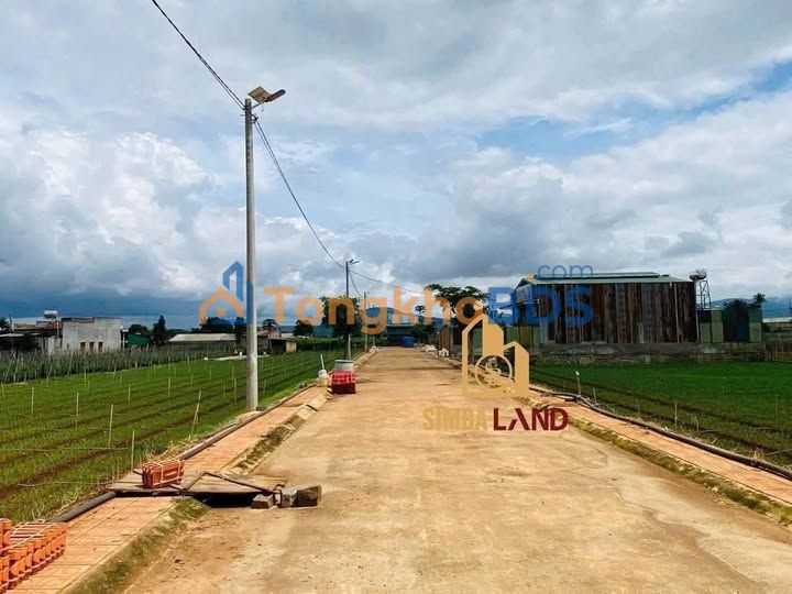 Đất Nền Đức Trọng 122m² Thổ Cư 100% - Giá Tốt Đầu Tư