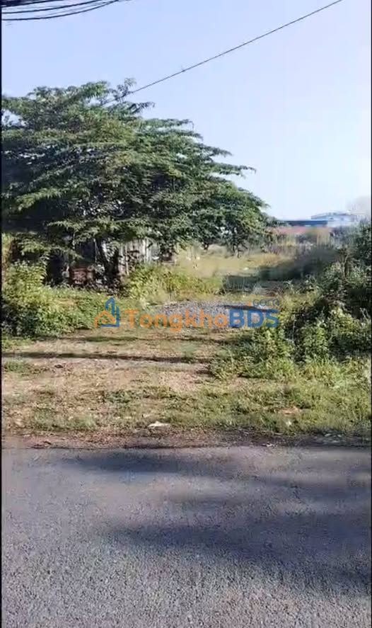 Đất Củ Chi 620m² Mặt Tiền Bùi Thị He - Giá 9.8 Tỷ, Sổ Hồng Sẵn Sàng