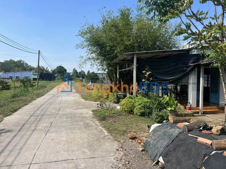 Đất Nền 585m² Phước Thạnh Củ Chi - Sổ Riêng, Sẵn Sàng Công Chứng