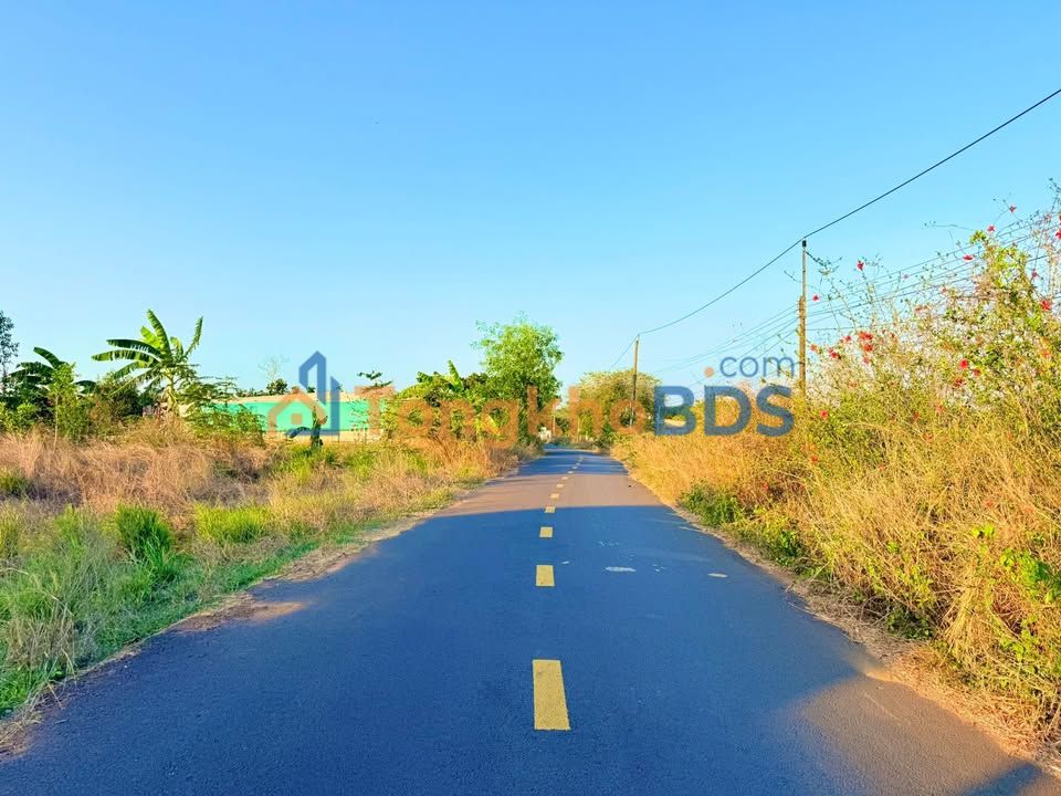 Đất Vườn Xuyên Mộc 1535m² - 2 Mặt Tiền Đường Nhựa 2.3 Tỷ