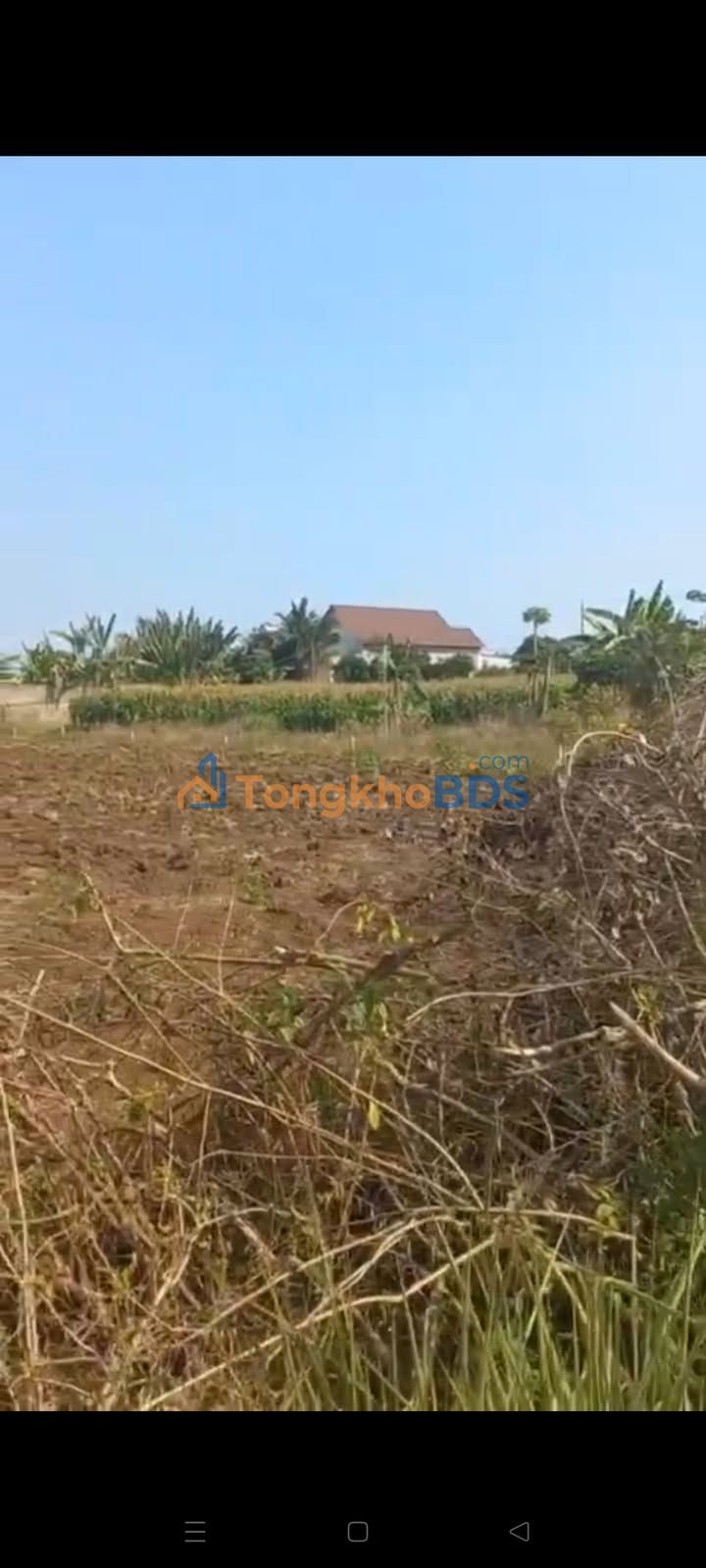 Bán Đất Nền 10.000m² Xã Xuân Sơn, Châu Đức - Sổ Hồng Sẵn Sàng