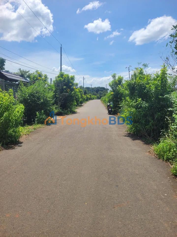 Đất Nền Châu Đức 600m² - Thổ Cư 100%, Sẵn Sổ Hồng, Giá 1.3 Tỷ