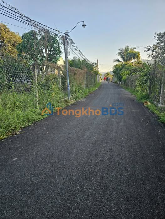 Đất Vườn Ninh Hải 1945m² Mặt Tiền Nhựa - Tiềm Năng Sinh Lời Cao