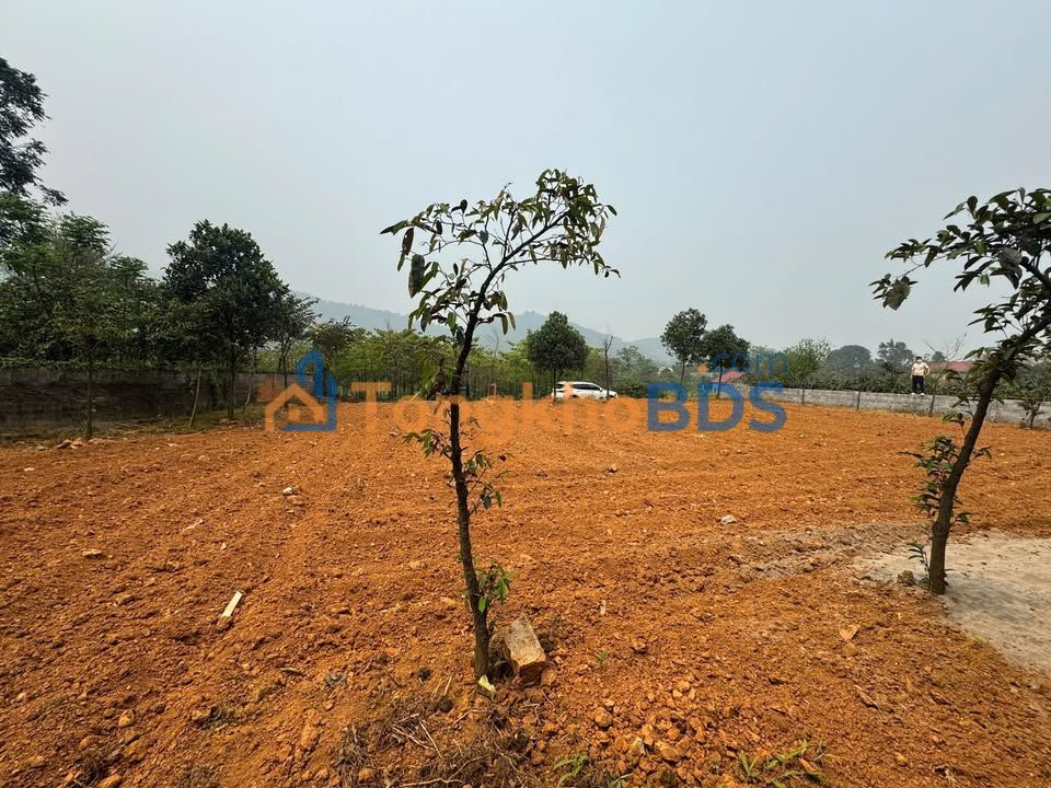 Đất Vườn Ba Vì 725m² - Mặt Tiền Rộng 26m - Giá Đầu Tư 7 Triệu/m²